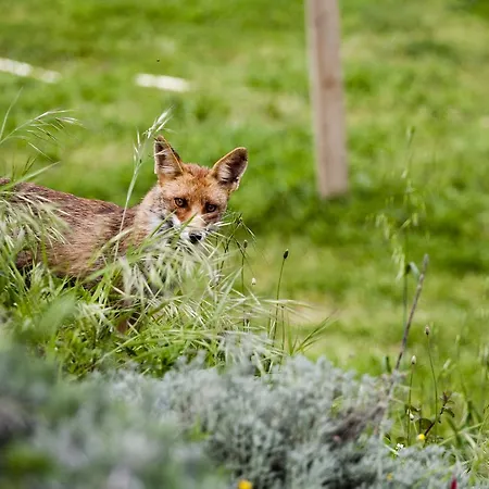 Country house Turisme Rural - Mas Vila - Monells