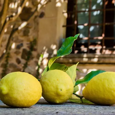 Country house Turisme Rural - Mas Vila - Monells La Bisbal d'Emporda